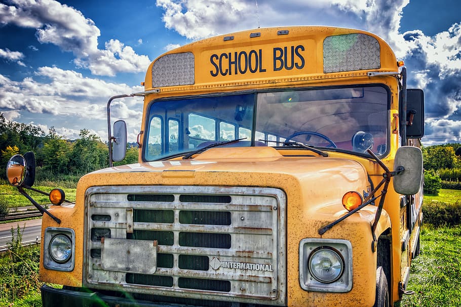hdr photography, school bus, bus, vehicle, america, usa, children, yellow, old, truck