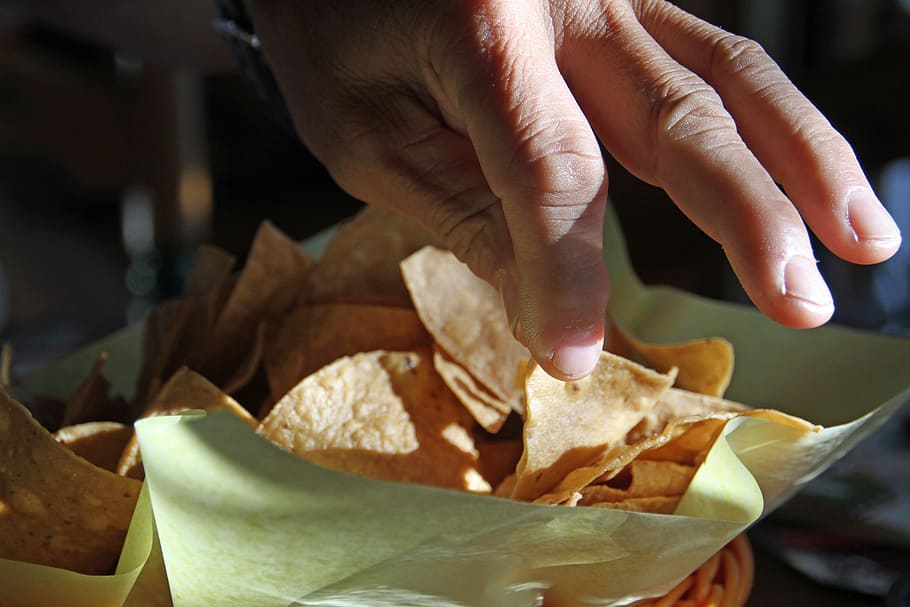 California, San Diego, Mexican, Food, mexican, food, tortilla, hand, human Hand, close-up, food And Drink
