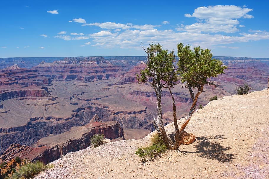 grand canyon, landscape, mountains, america, usa, sky, scenics - nature, beauty in nature, plant, rock - object
