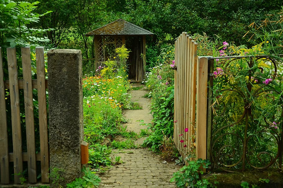 brown, wooden, gate, open, surrounded, garden flower, garden, garden door, cottage garden, garden gate