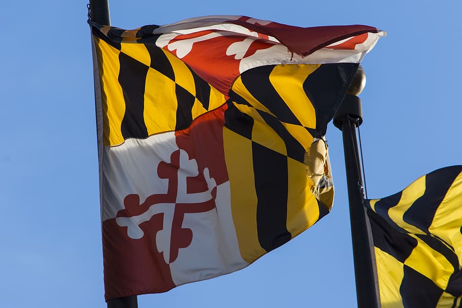 maryland, flag, pole, urban, yellow, low angle view, patriotism, wind, environment, sky