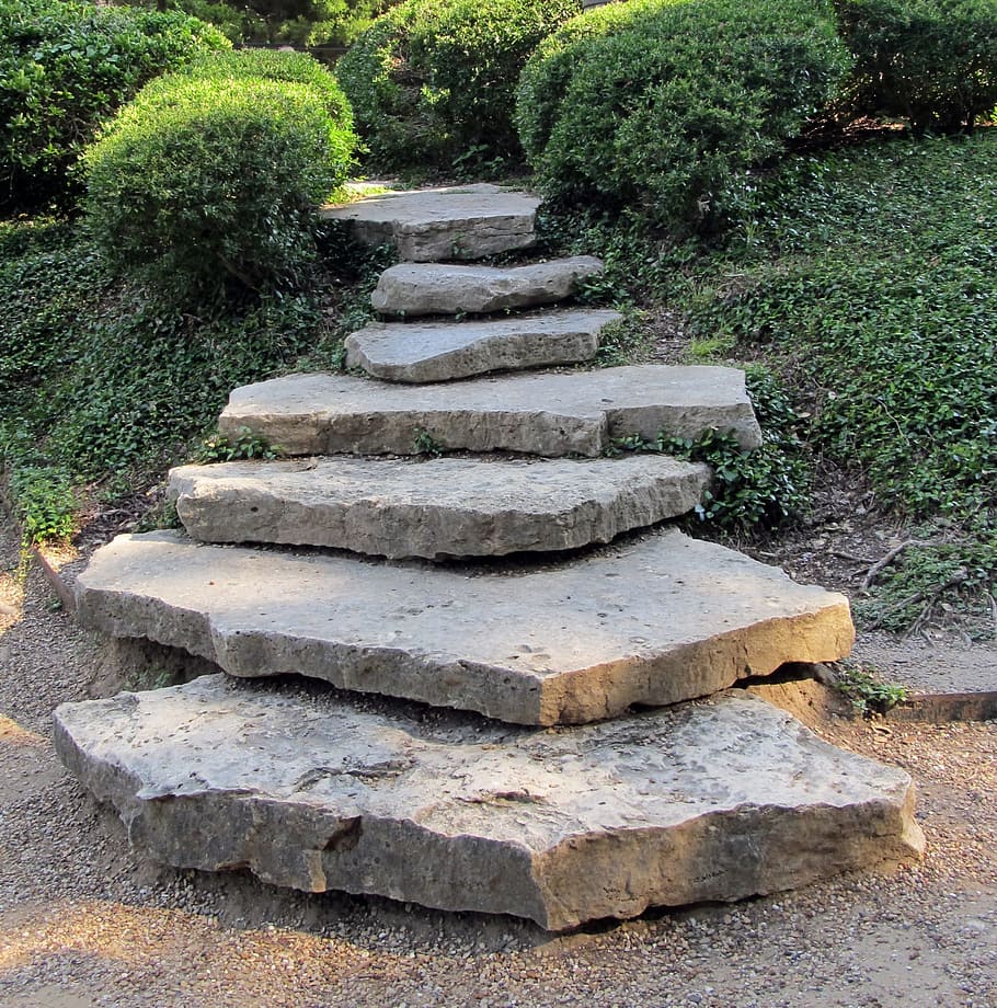 gray, concrete, stair, topiary, plants, stone steps, landscaping, path, garden, landscaped