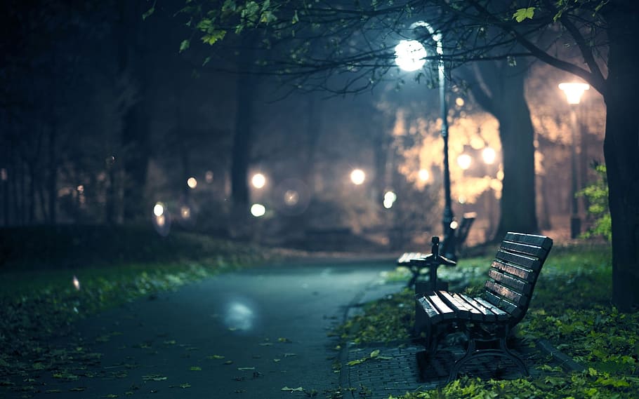 night, solo, park, tree, plant, nature, seat, bench, park bench, park - man made space