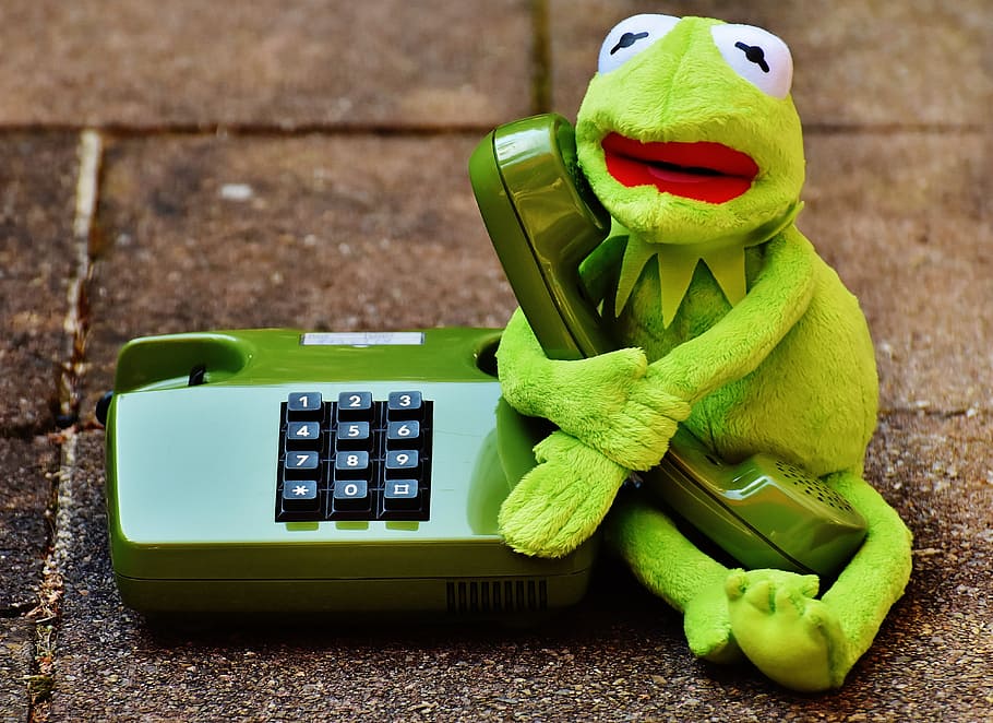 kermit, frog, phone, figure, funny, frogs, animal, plush, stuffed animal, toy