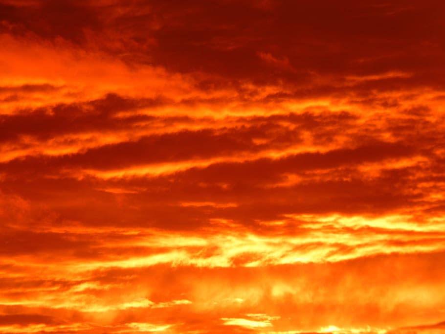 orange, cloudy, sky, daytime, sunset, sun, fire, burns, fiery, red