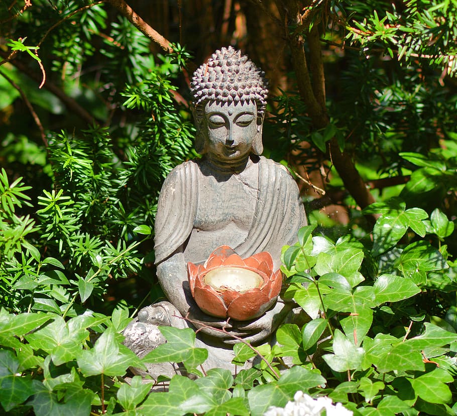dyanara mudra statuette, garden, buddha, buddha statue, statue, garden fountain, fountain, lotus, ivy, forest