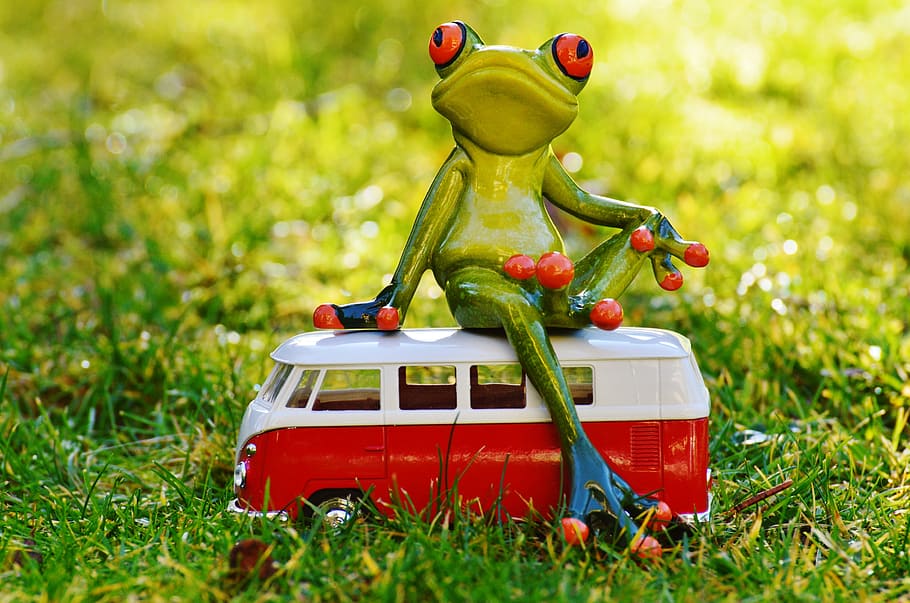 green, frog, riding, bus forced-photography, bulli, volkswagen, animal, cute, funny, go away