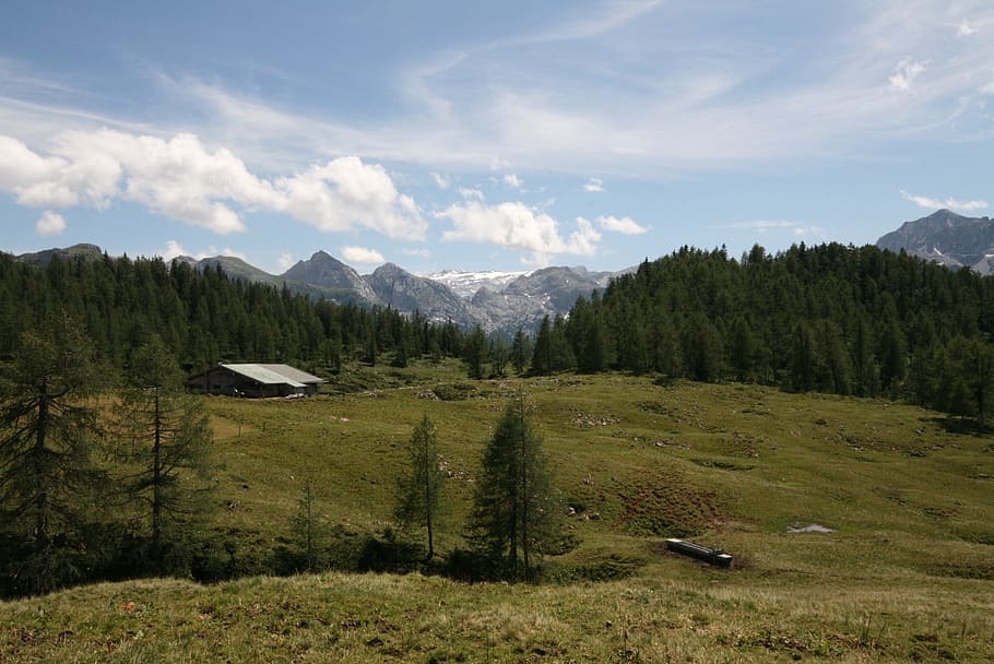Plateau, Alpine Meadows, Area, gotzalm, alpine meadows area, steinernes meer, devil horn, berchtesgaden national park, pasture, alm