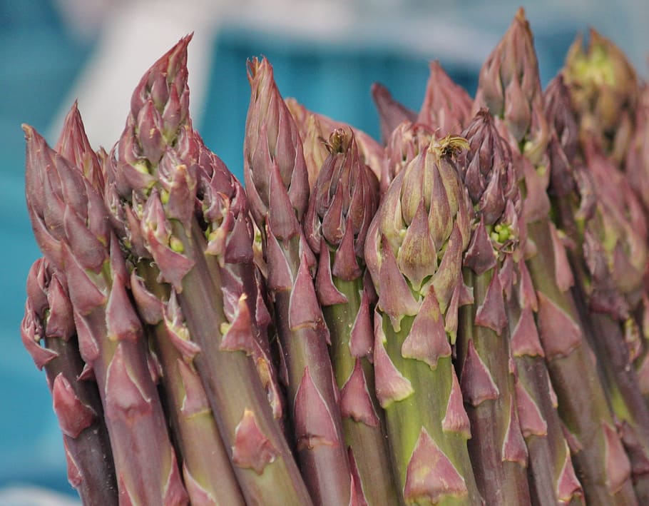 green asparagus, asparagus, asparagus tips, vegetables, food, healthy, market stall, market, close, bundle