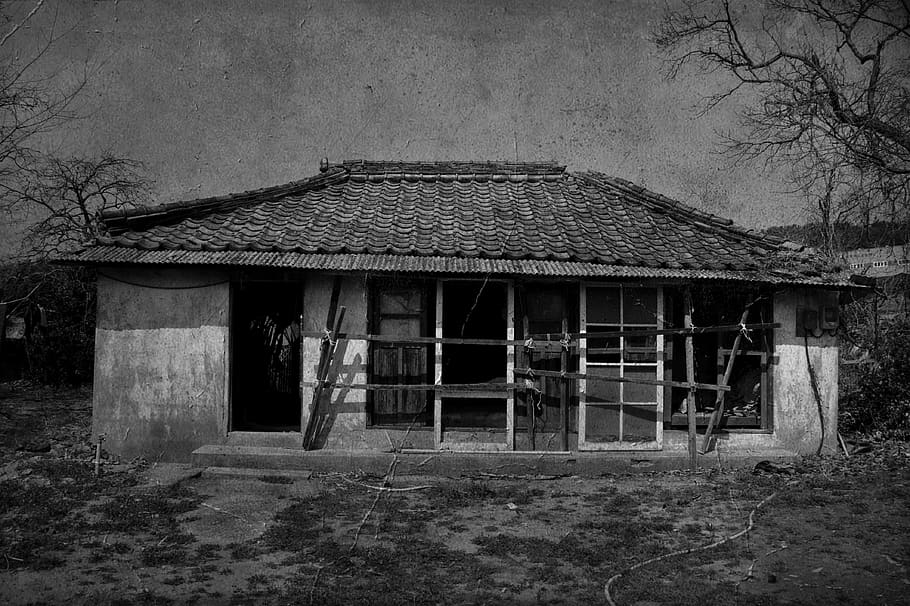 home, vacant, old collection, scary, a black and white photo, solitude, loneliness, architecture, built structure, building exterior