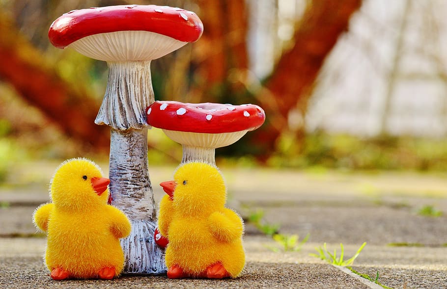 chicks, easter, mushrooms, fly agaric, cute, figure, easter theme, sweet, decoration, spring