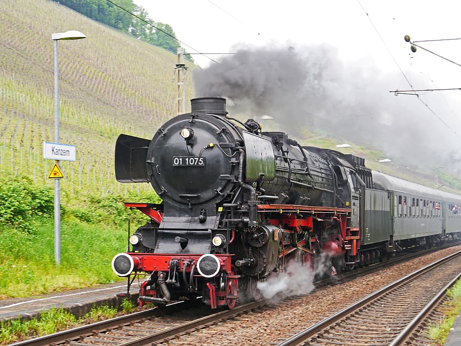 steam locomotive, express train, event, the steam spectacle in 2018, breakpoint kanzem, transit, train, railway, br 01-10, 011075