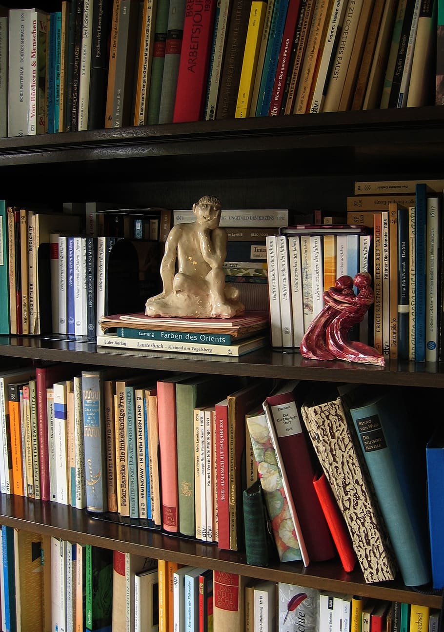statue, plastic, think, thinker, book, books, bookshelf, read, literature, shelf