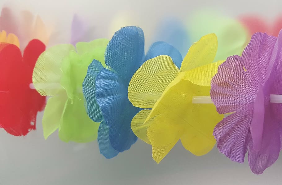 closeup, foto, band alice, bunga lei, bunga, karangan bunga, rantai bunga, luau, dekorasi, warna-warni