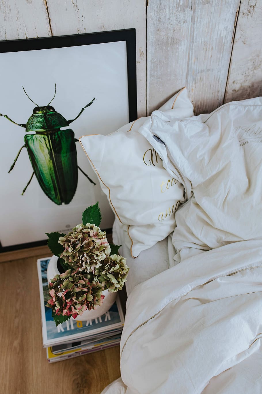 bed sheets, green, beetle, pot plant, stack, magazines, White, bed, bedding, duvet