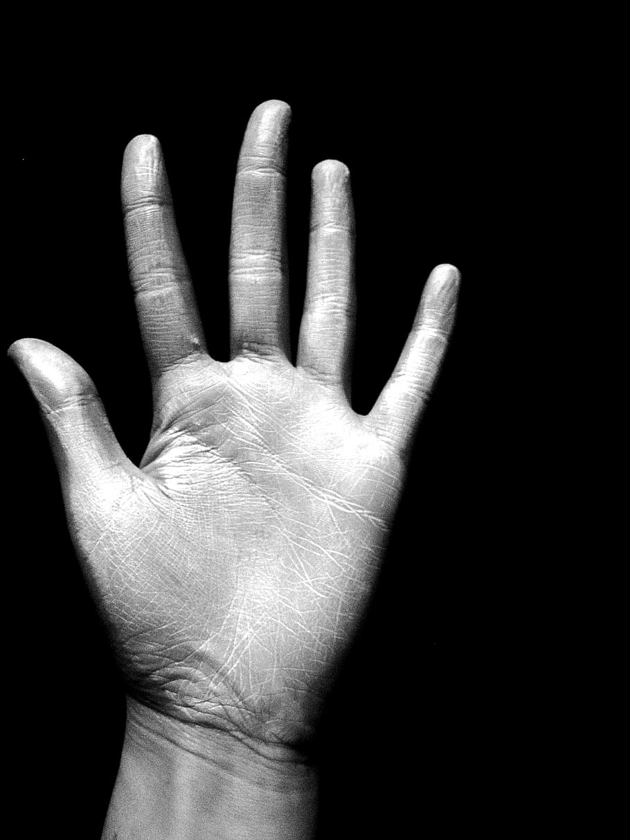 Hand, Black And White, Fingers, Wrinkles, hand lines, black, white, human body part, human hand, human finger
