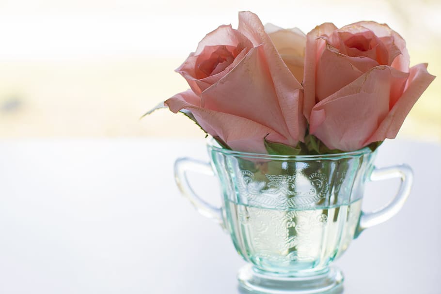 merah muda, mawar, cangkir kaca, mawar merah muda, cangkir teh, model tahun, mekar, latar belakang, romantis, meja