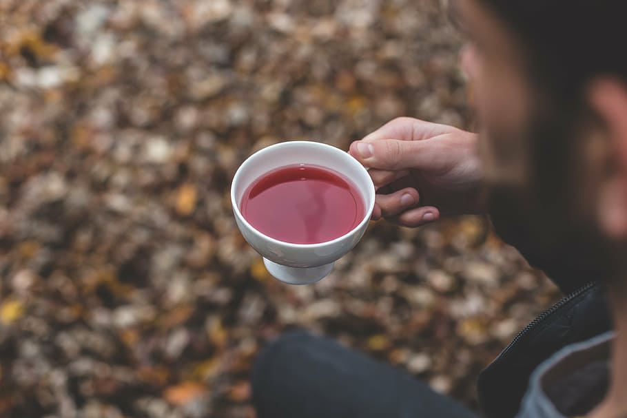 person, holding, white, ceramic, teacup, outdoor, leaf, fall, autumn, tea