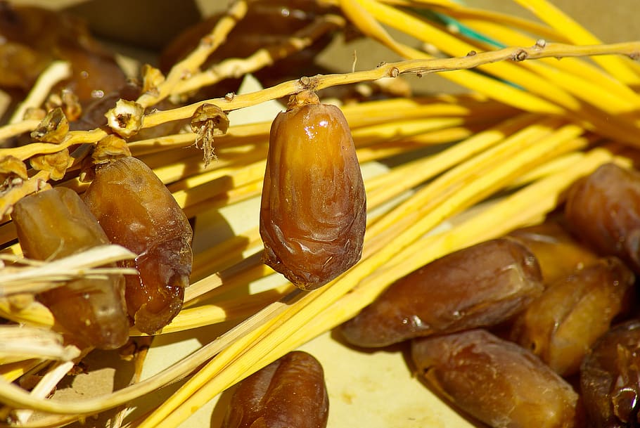 dates, dried fruit, date palm, food and drink, food, freshness, healthy eating, close-up, wellbeing, still life