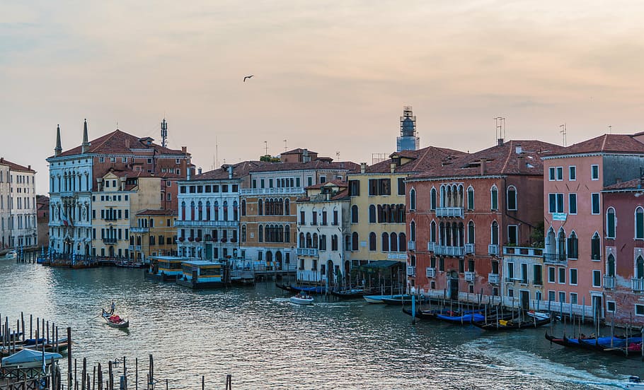Venesia, Italia, arsitektur, matahari terbenam, kanal besar, gondola, indah, Eropa, air, perahu