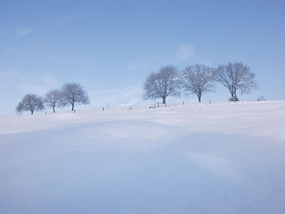 Зима Фото Легкие