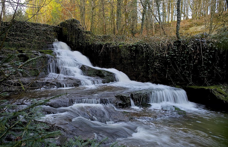 cascade, landscape, vosges, france, nature, water courses, mill, tree, beauty in nature, forest
