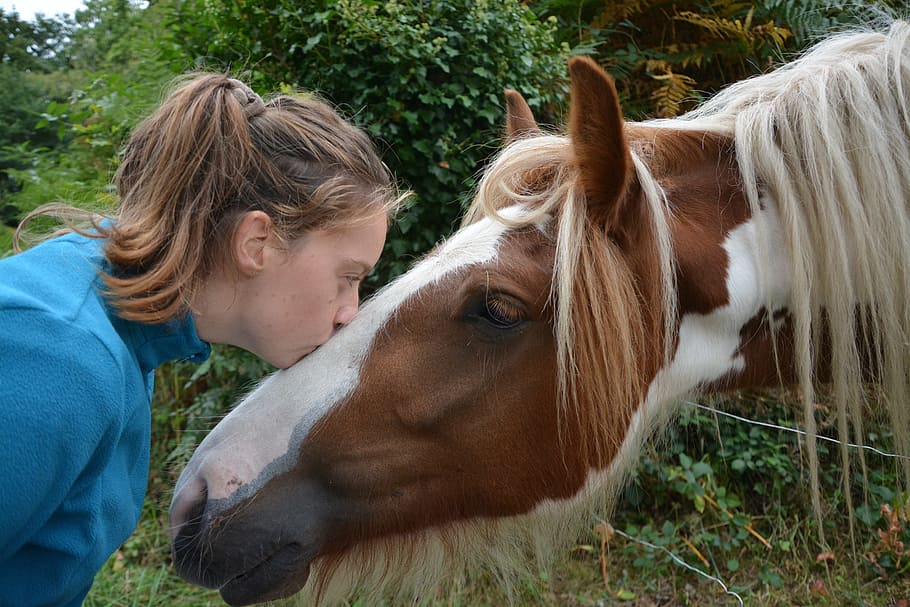 kiss, horse, girl, young woman, complicity, affection, horseback riding, profile, tenderness, domestic