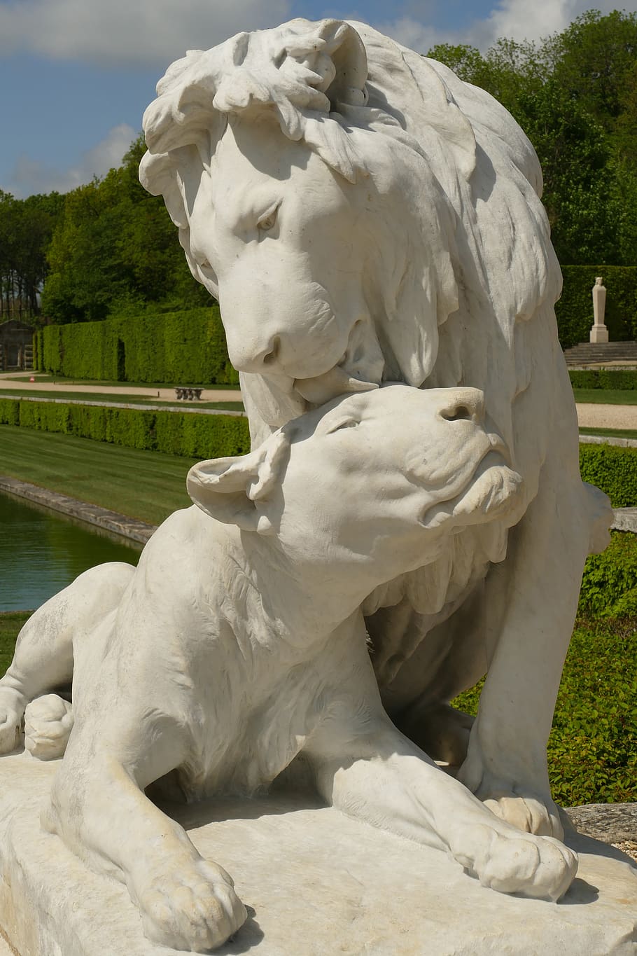 lion, lioness, mammal, fauna, licking, love, statue, white, sculpture, garden