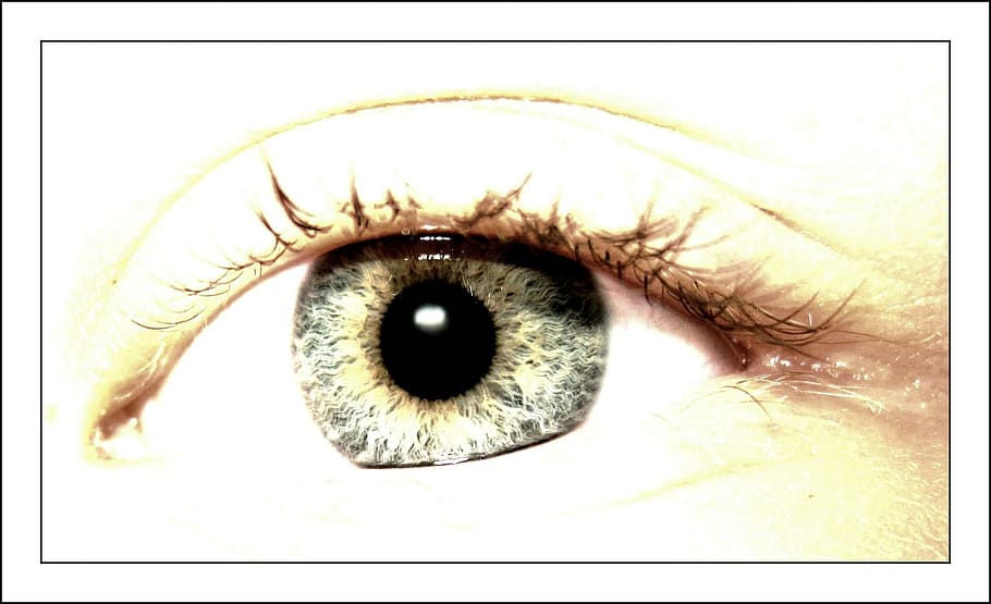 person's eye, eye, eyes, macro, close, pupil, eyelashes, iris, see, focus