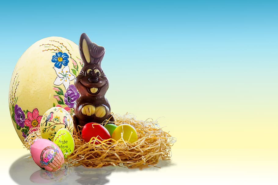 brown, rabbit, easter eggs, easter, egg, easter bunny, easter egg, nest, easter nest, easter theme
