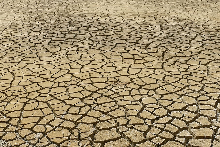 seco, deshidratación, sequía, rasgadura, crack, tierra, estructura, textura, desierto, arcilla