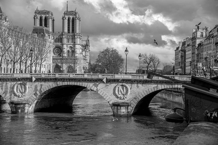 seine, paris, cathedral, our lady, built structure, bridge ...