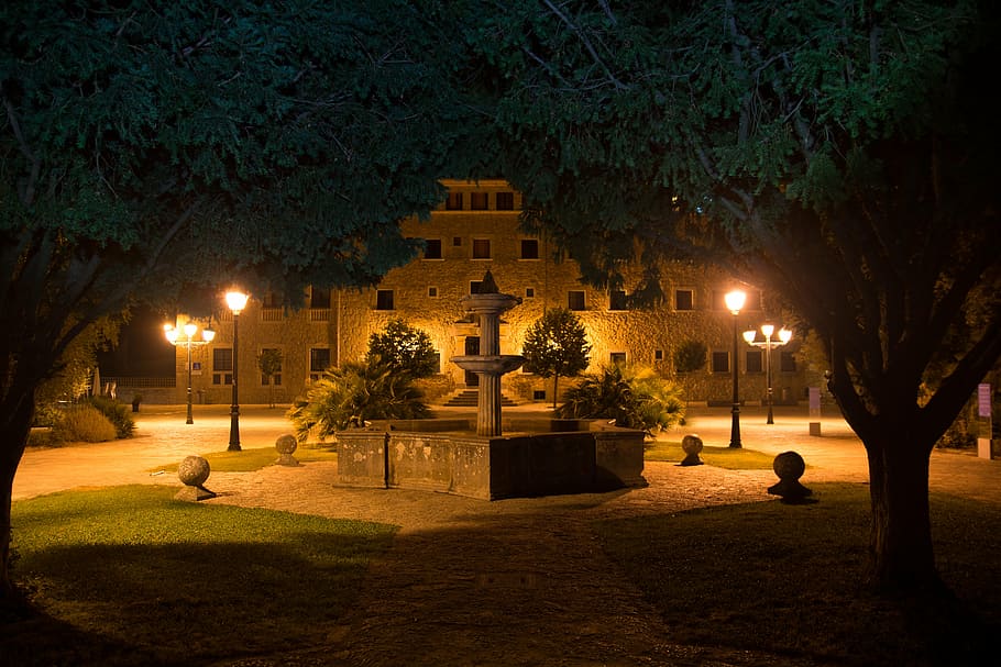 monasterio lluc, noche, santuario, palma de mallorca, árbol, planta, iluminado, arquitectura, exterior del edificio, naturaleza