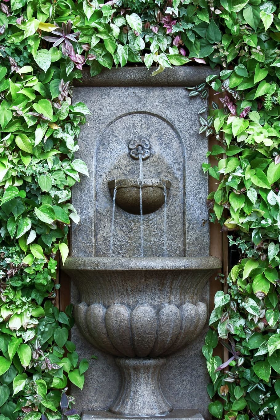 噴水, 壁の噴水, 緑, 壁, 水, 水が流れる, 涼しい, 穏やかな, さわやかな, 植物の部分