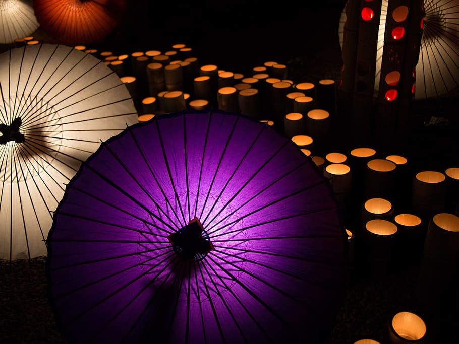 purple, umbrella, black, floor, japanese umbrellas, japanese style, k, yamaga city, hot springs, japan