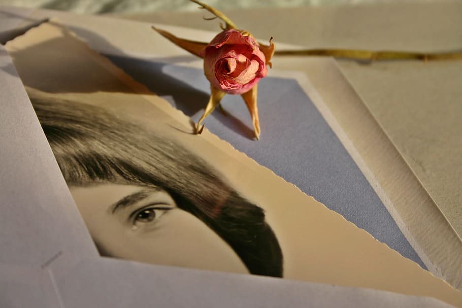 Letters, Envelope, Photo, Image, Woman, rose, memory, love letter, portrait, recording