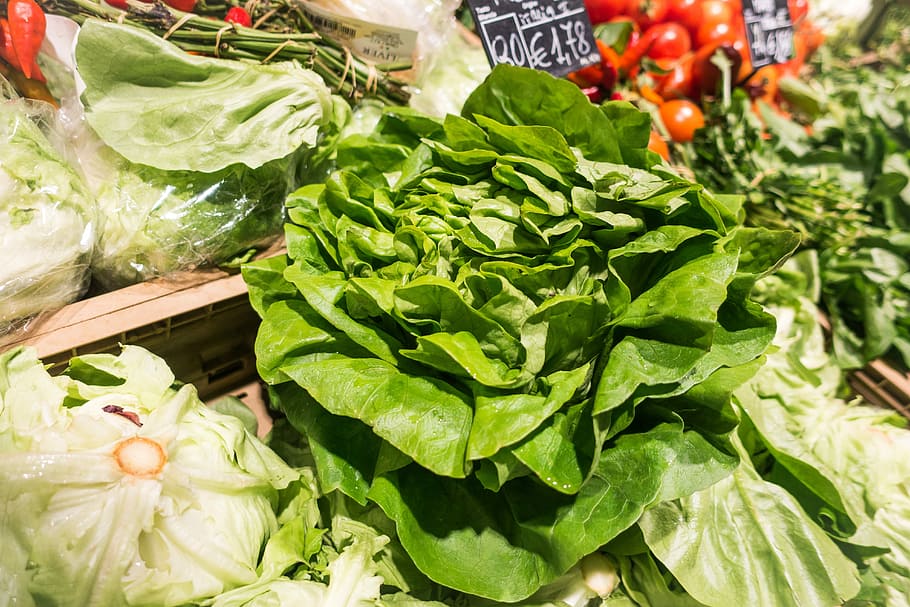 fresh, green, lettuce, grocery store, healthy, food, vegetable, freshness, market, healthy Eating