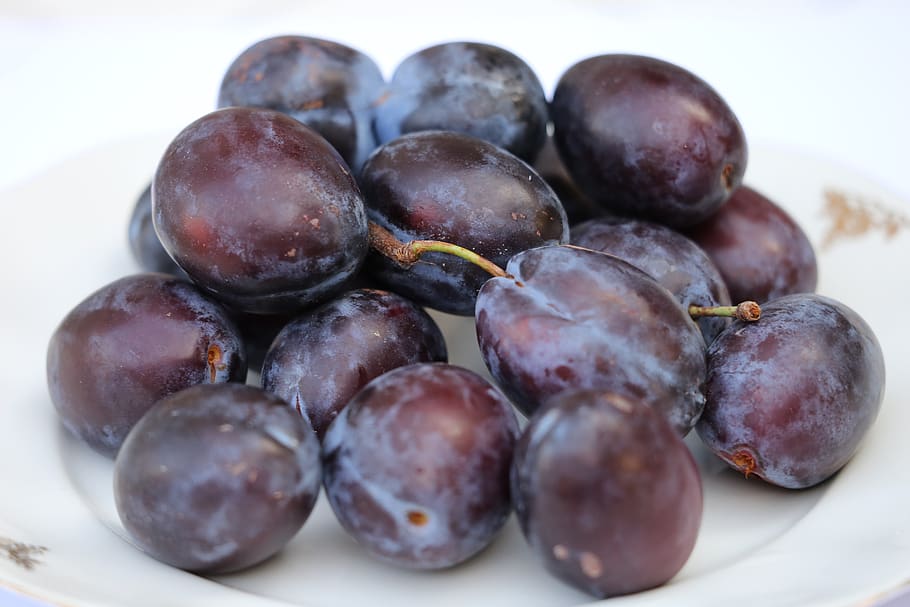 plum stanley, fruit, fresh, healthy, delicious, summer, outdoor, food and drink, healthy eating, food