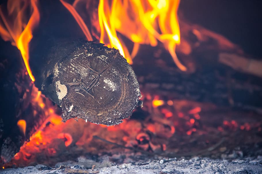 roti, tungku, kotak api, kayu bakar, api, pembakaran, api - fenomena alam, panas - suhu, alam, api unggun