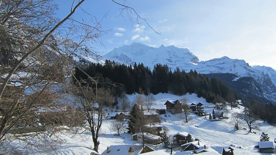 jungfrau mountain, january 3 2012, Jungfrau, Mountain, winter, wengen, switzerland, alps, lauterbrunnen valley, snow