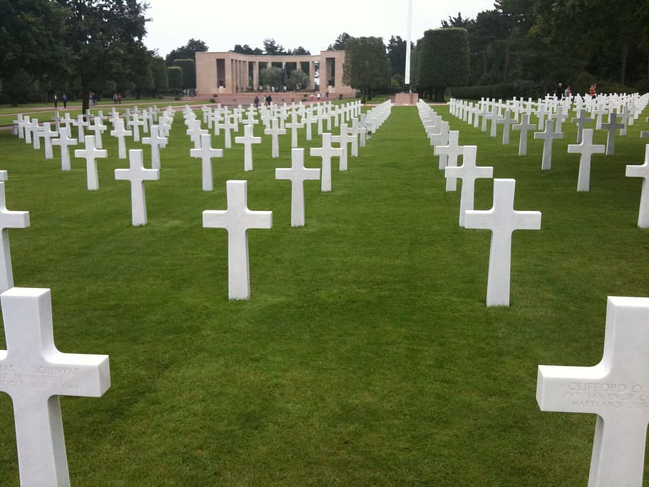 cemetery, american, normandy, grave, tombstone, memorial, grass, stone, plant, in a row