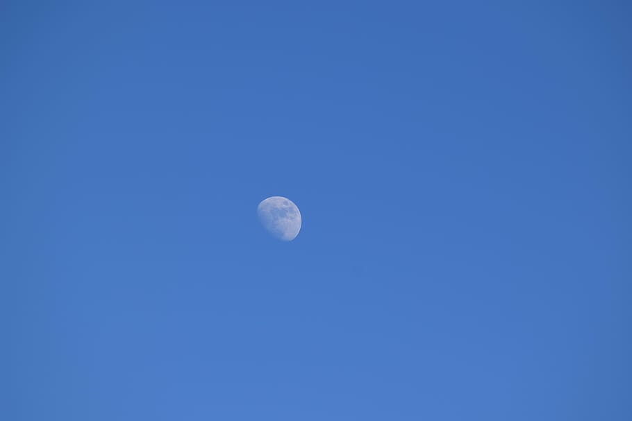 low-angle photo, half moon, day moon, lunar, first quarter, day, sky, moon, blue, waxing moon