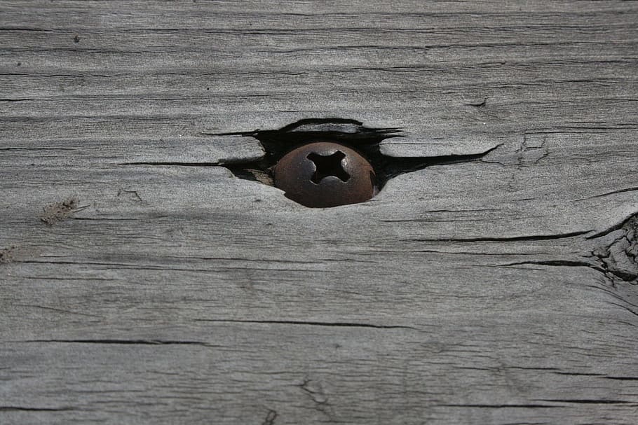 Foto de primer plano, marrón, perno de metal, tornillo, madera, resistido, viejo, oxidado, construcción, equipo