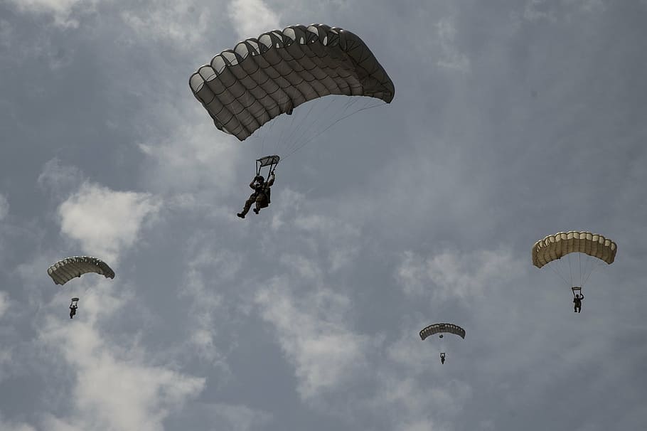 paracaídas, liberado, abierto, paracaidismo, salto, entrenamiento, militar, paracaidista, avión, peligro
