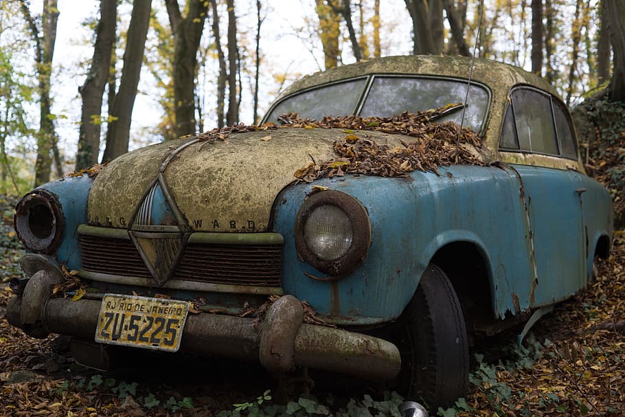 clásico, azul, abandonado, coche, árboles, coche clásico, borgward, vintage, depósito de chatarra, 1950