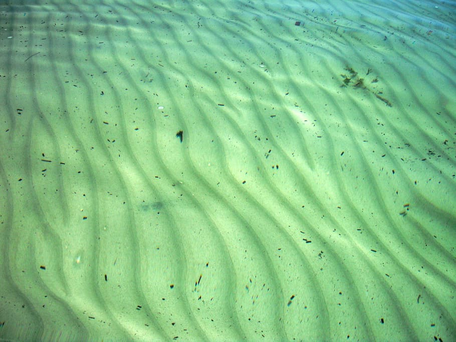 body of water, Ocean, Floor, Sand, Ripples, Underwater, ocean, floor, green, clear, sea