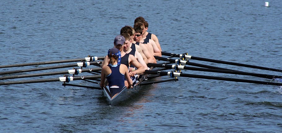 rowing, scullers, oars, lake, boat, sport, competition, crew, coxswain, sports