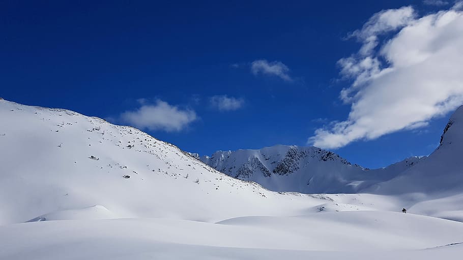 nieve, recubierto, montaña, azul, cielo, invierno, panorama, frío, paisaje de nieve, invernal