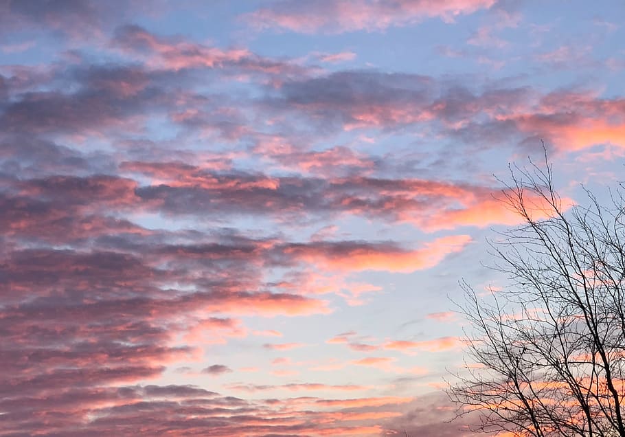 sunset, nature, dawn, panorama, sky, sunrise, clouds, pink sky, blue sky, clouds form