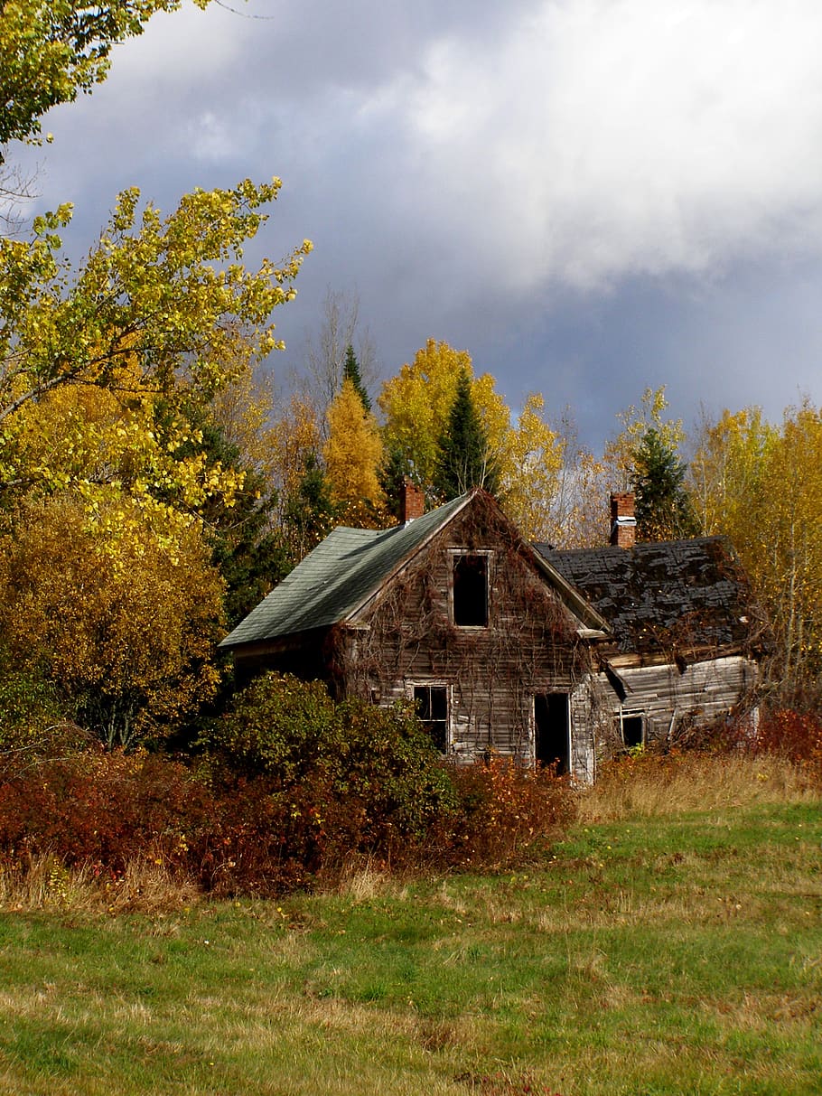 casa, outono, abandonado, deserto, deteriorado, deterioração, rural, nuvens, vegetação, coberto de vegetação